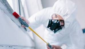 Best Pest Prevention Services  in Carter, TX